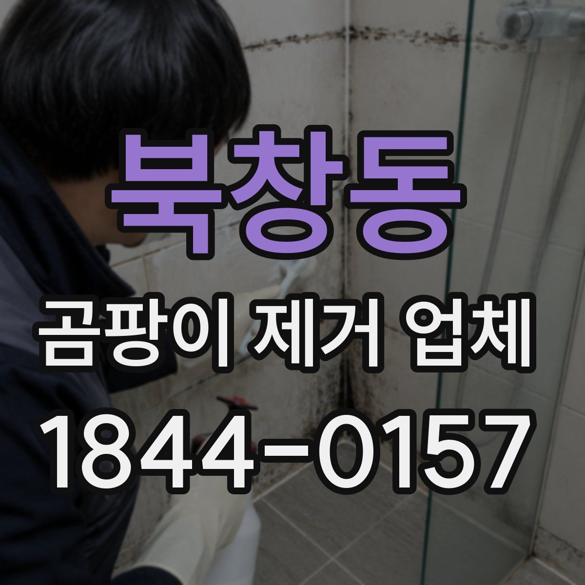 북창동 곰팡이 제거 업체