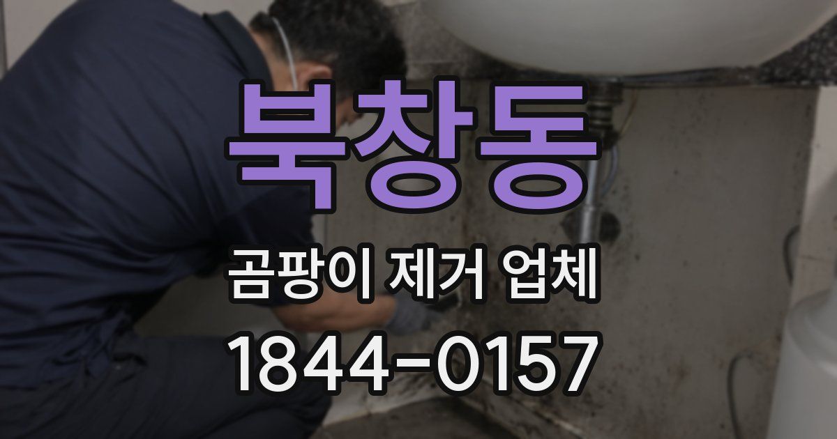 북창동 곰팡이 제거 업체