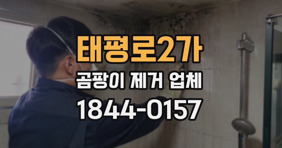 태평로2가 곰팡이 제거 업체