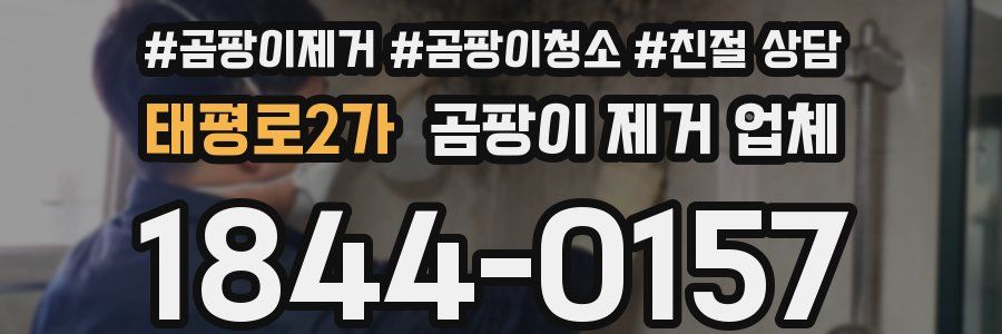 태평로2가 곰팡이 제거 업체