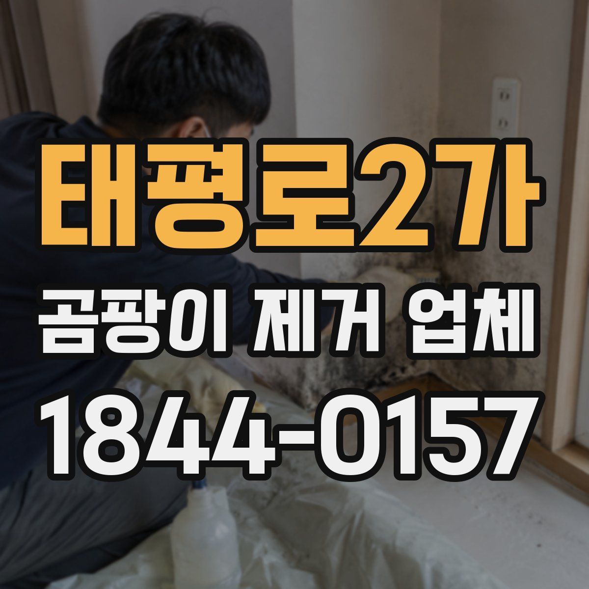 태평로2가 곰팡이 제거 업체