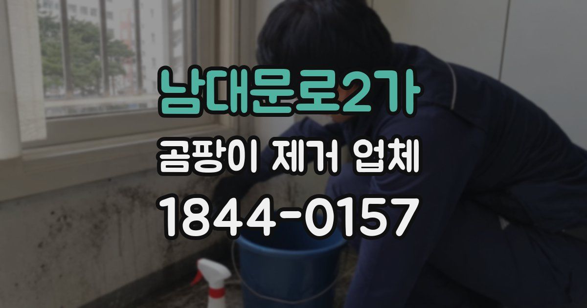 남대문로2가 곰팡이 제거 업체