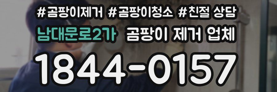 남대문로2가 곰팡이 제거 업체