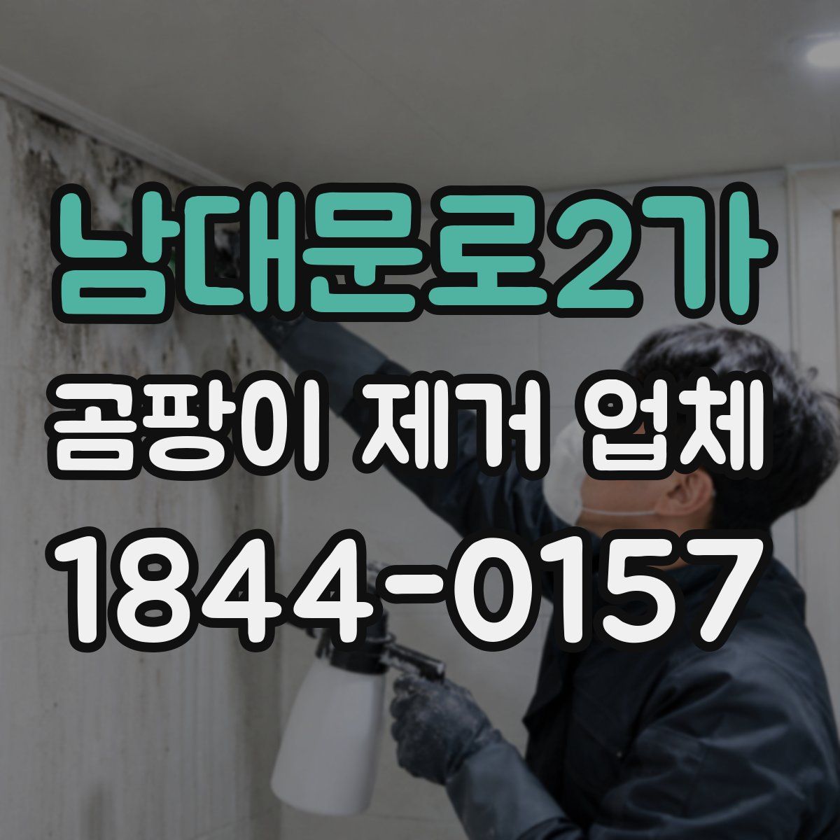 남대문로2가 곰팡이 제거 업체