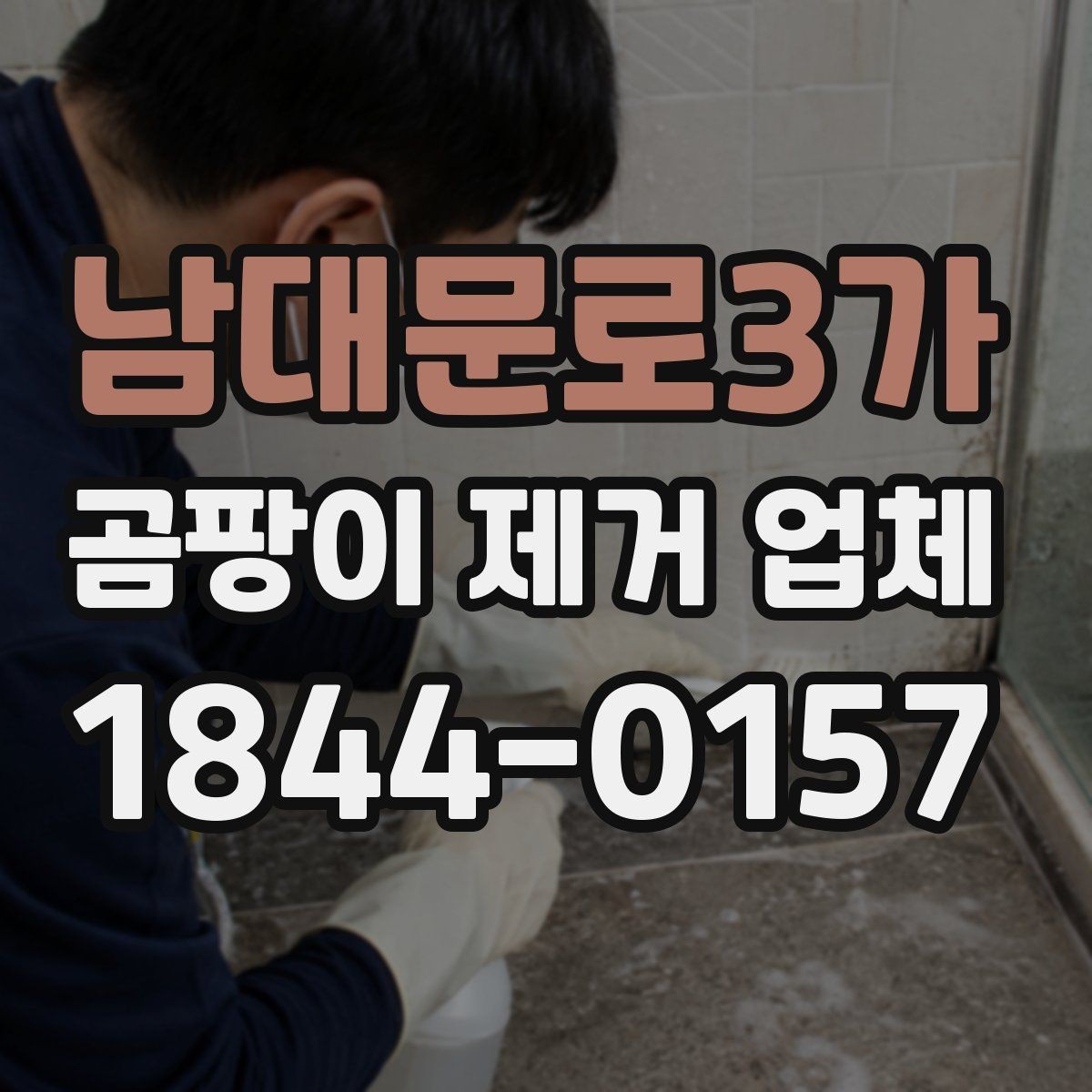남대문로3가 곰팡이 제거 업체 이용 전 확인하면 좋은 계약 내용