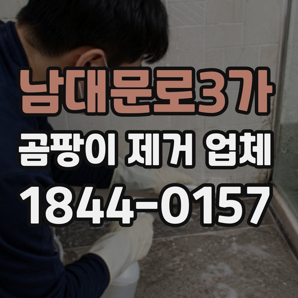 남대문로3가 곰팡이 제거 업체
