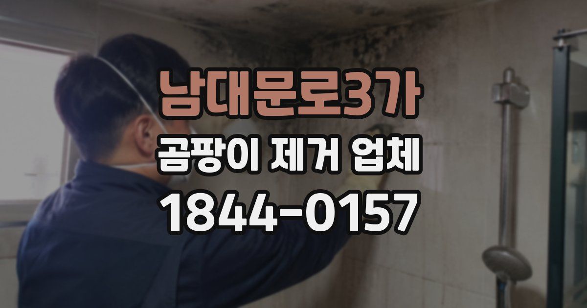 남대문로3가 곰팡이 제거 업체