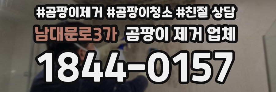 남대문로3가 곰팡이 제거 업체