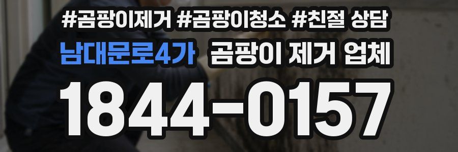 남대문로4가 곰팡이 제거 업체