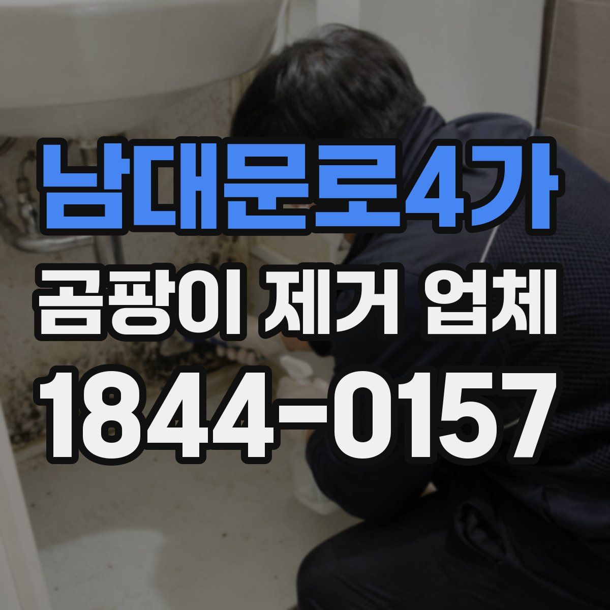 남대문로4가 곰팡이 제거 업체