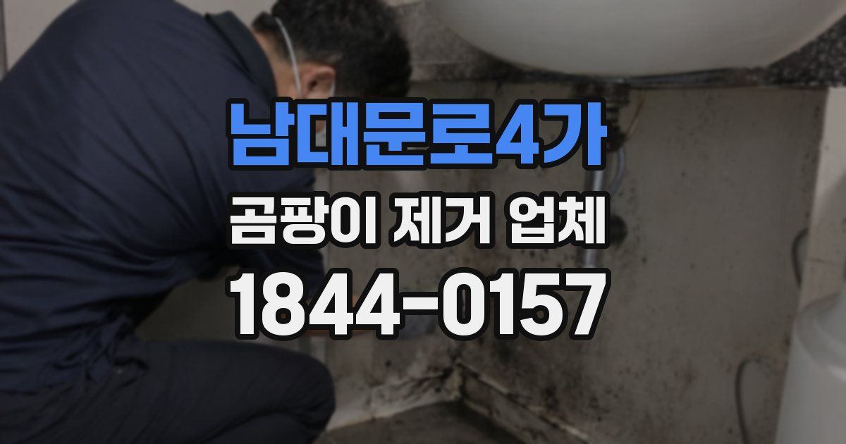 남대문로4가 곰팡이 제거 업체