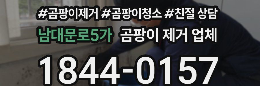 남대문로5가 곰팡이 제거 업체