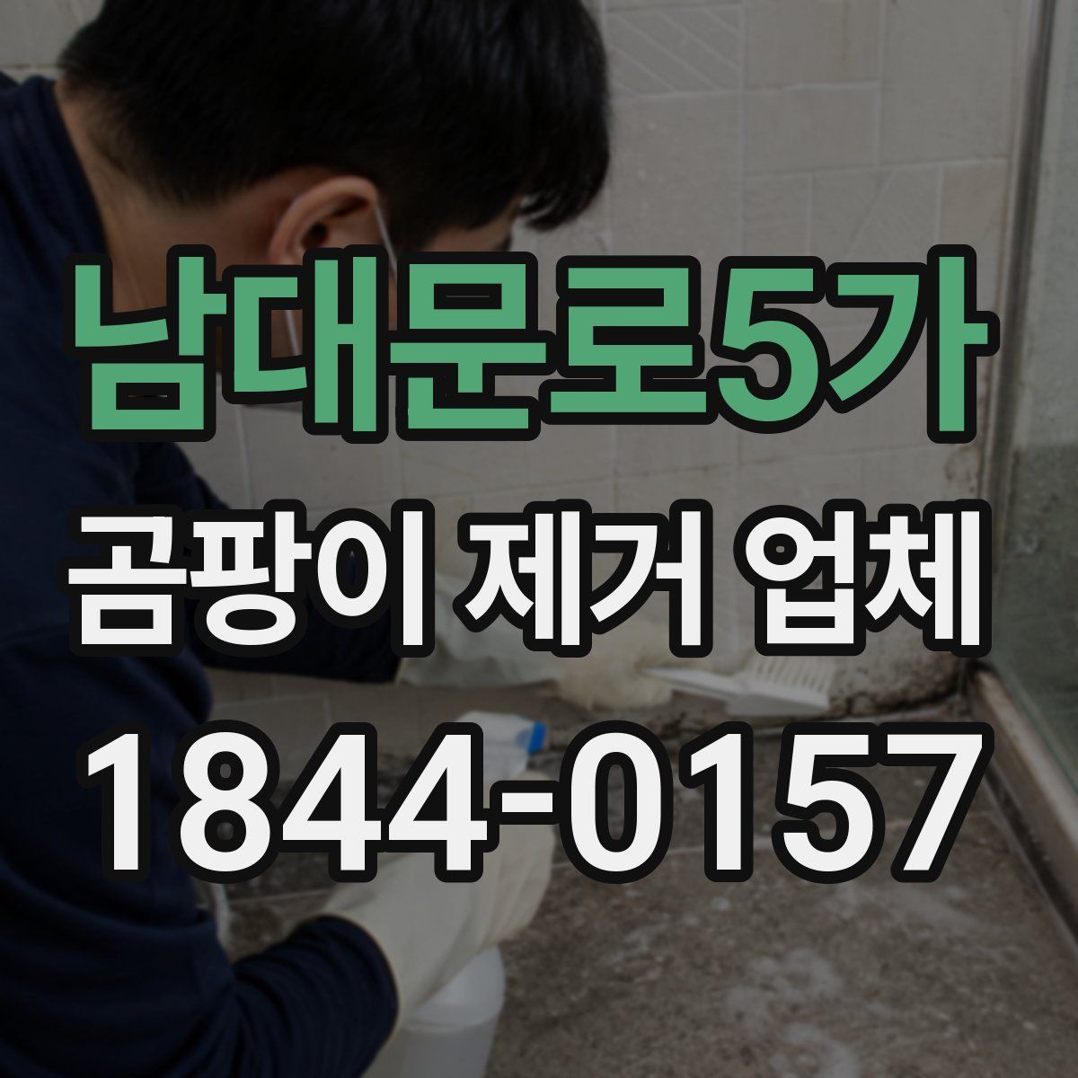 남대문로5가 곰팡이 제거 업체