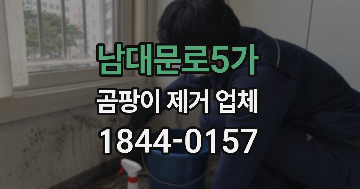 남대문로5가 곰팡이 제거 업체