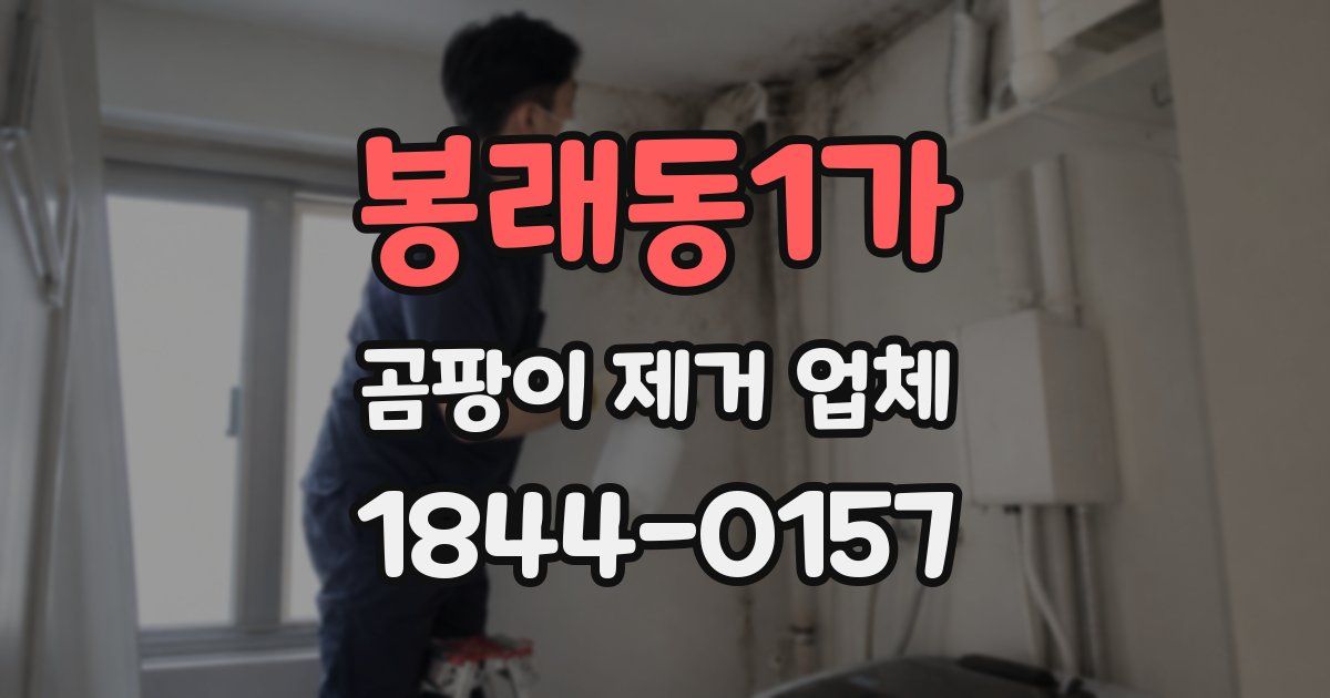봉래동1가 곰팡이 제거 업체