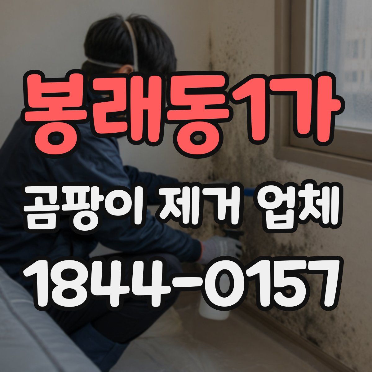 봉래동1가 곰팡이 제거 업체