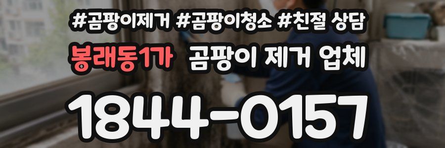 봉래동1가 곰팡이 제거 업체