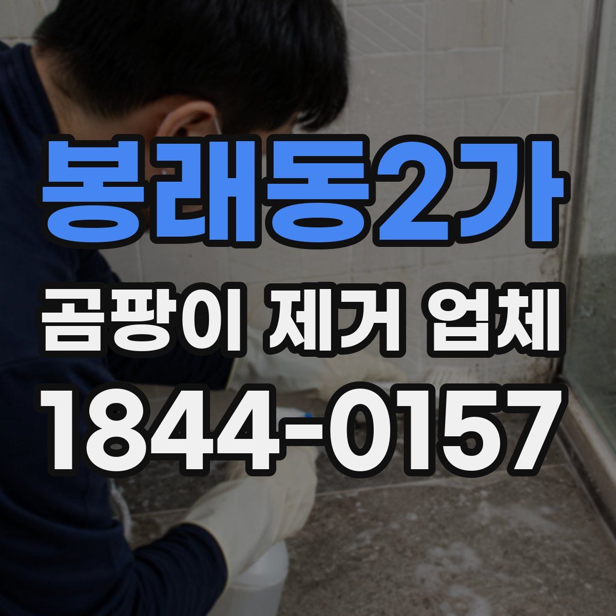 봉래동2가 곰팡이 제거 업체