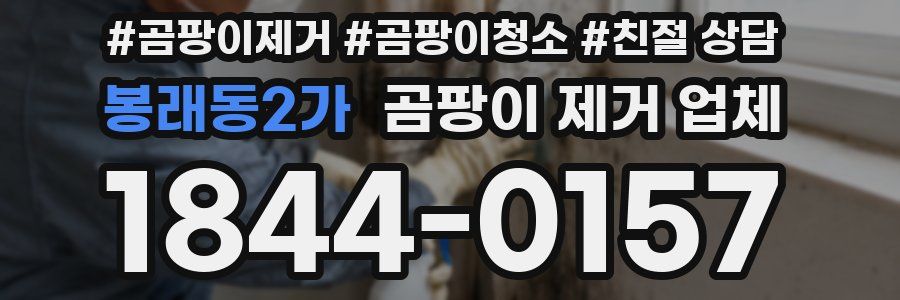 봉래동2가 곰팡이 제거 업체