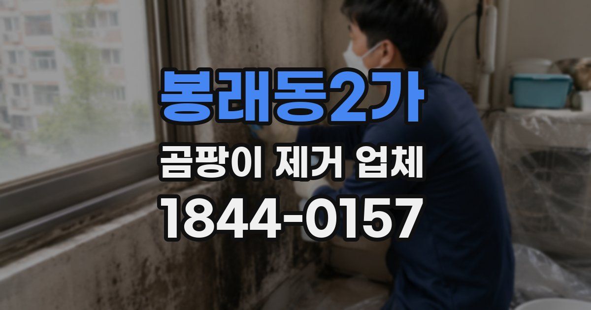 봉래동2가 곰팡이 제거 업체