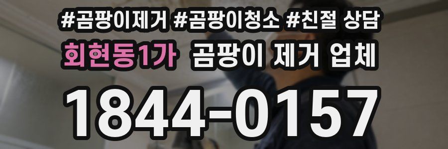 회현동1가 곰팡이 제거 업체