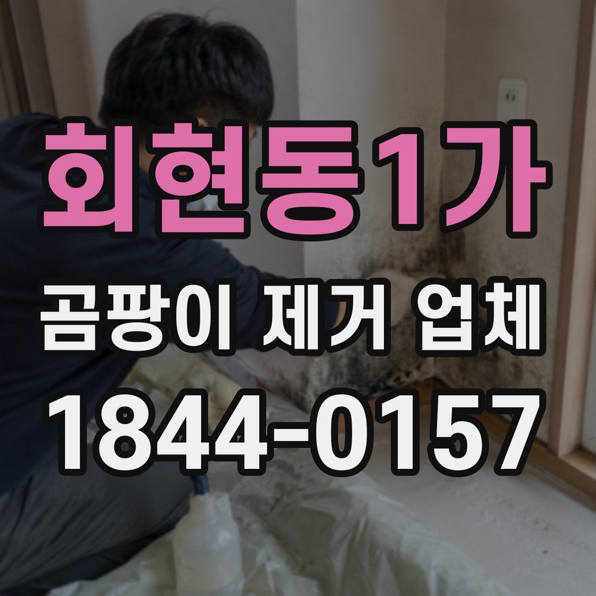 회현동1가 곰팡이 제거 업체