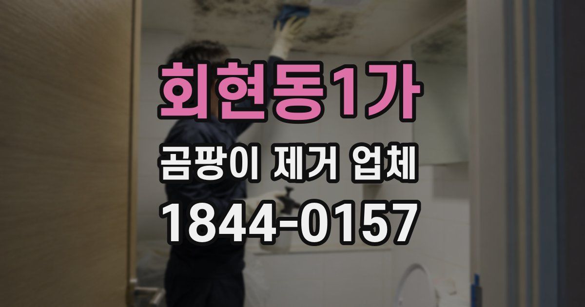 회현동1가 곰팡이 제거 업체