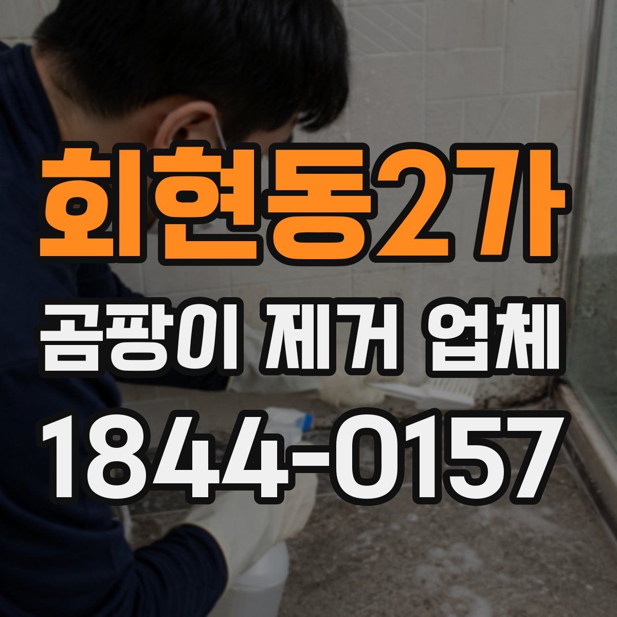 회현동2가 곰팡이 제거 업체