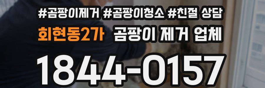 회현동2가 곰팡이 제거 업체