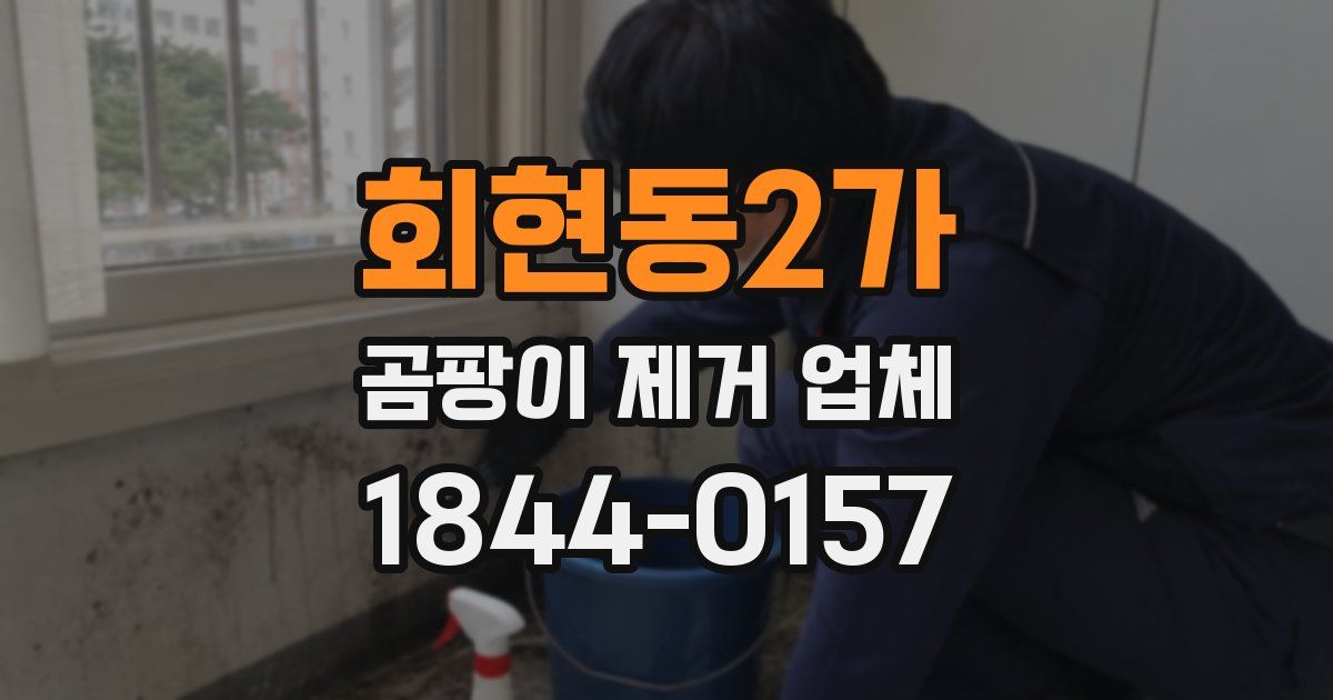 회현동2가 곰팡이 제거 업체