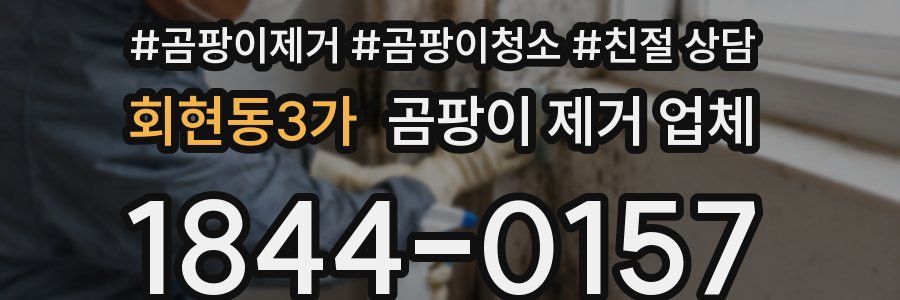 회현동3가 곰팡이 제거 업체