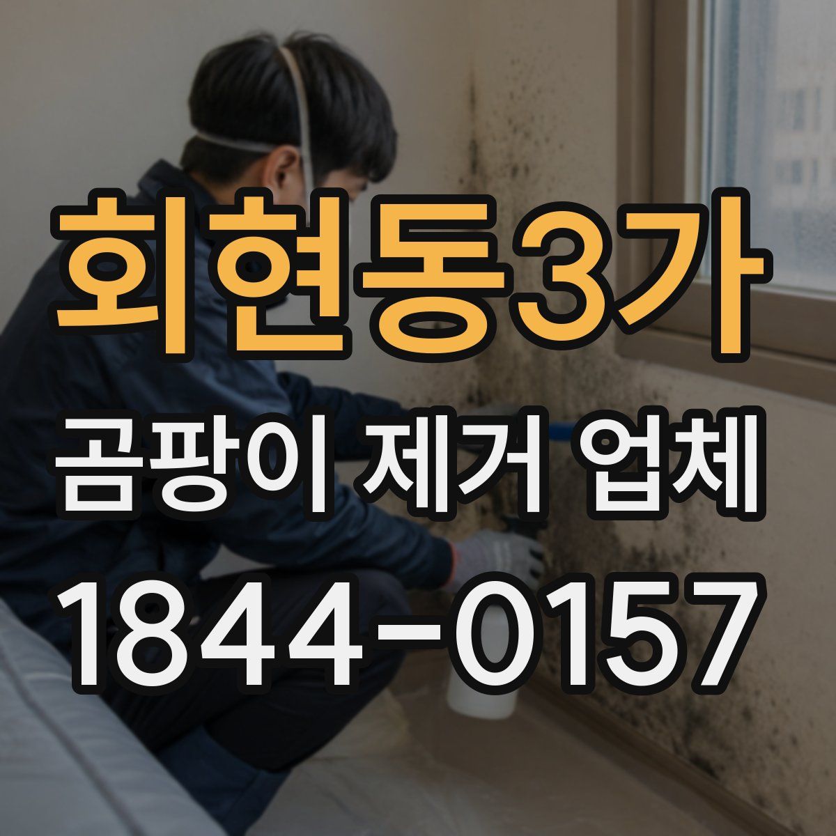 회현동3가 곰팡이 제거 업체