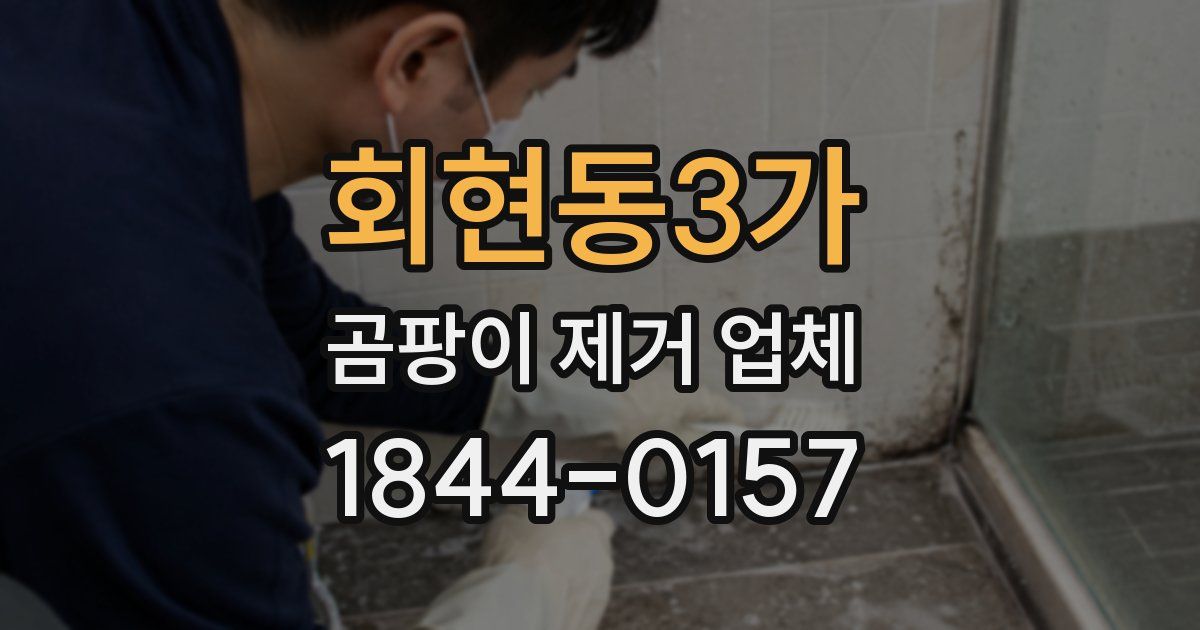 회현동3가 곰팡이 제거 업체