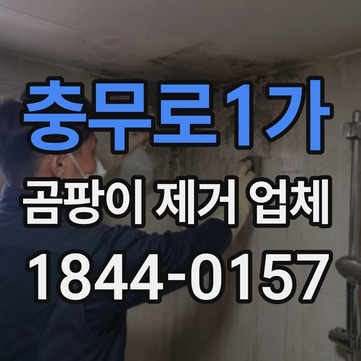 충무로1가 곰팡이 제거 업체 이용 후기 확인 요령