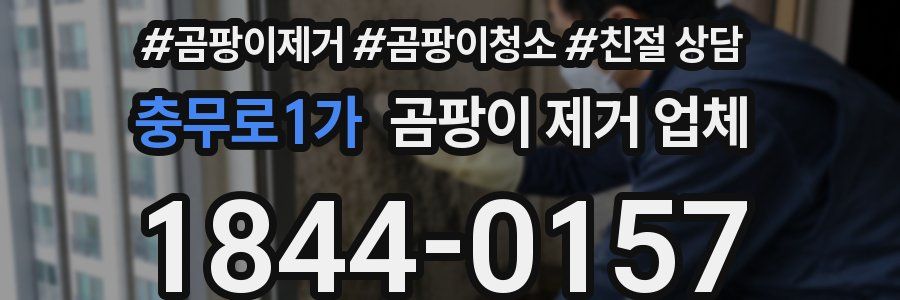 충무로1가 곰팡이 제거 업체