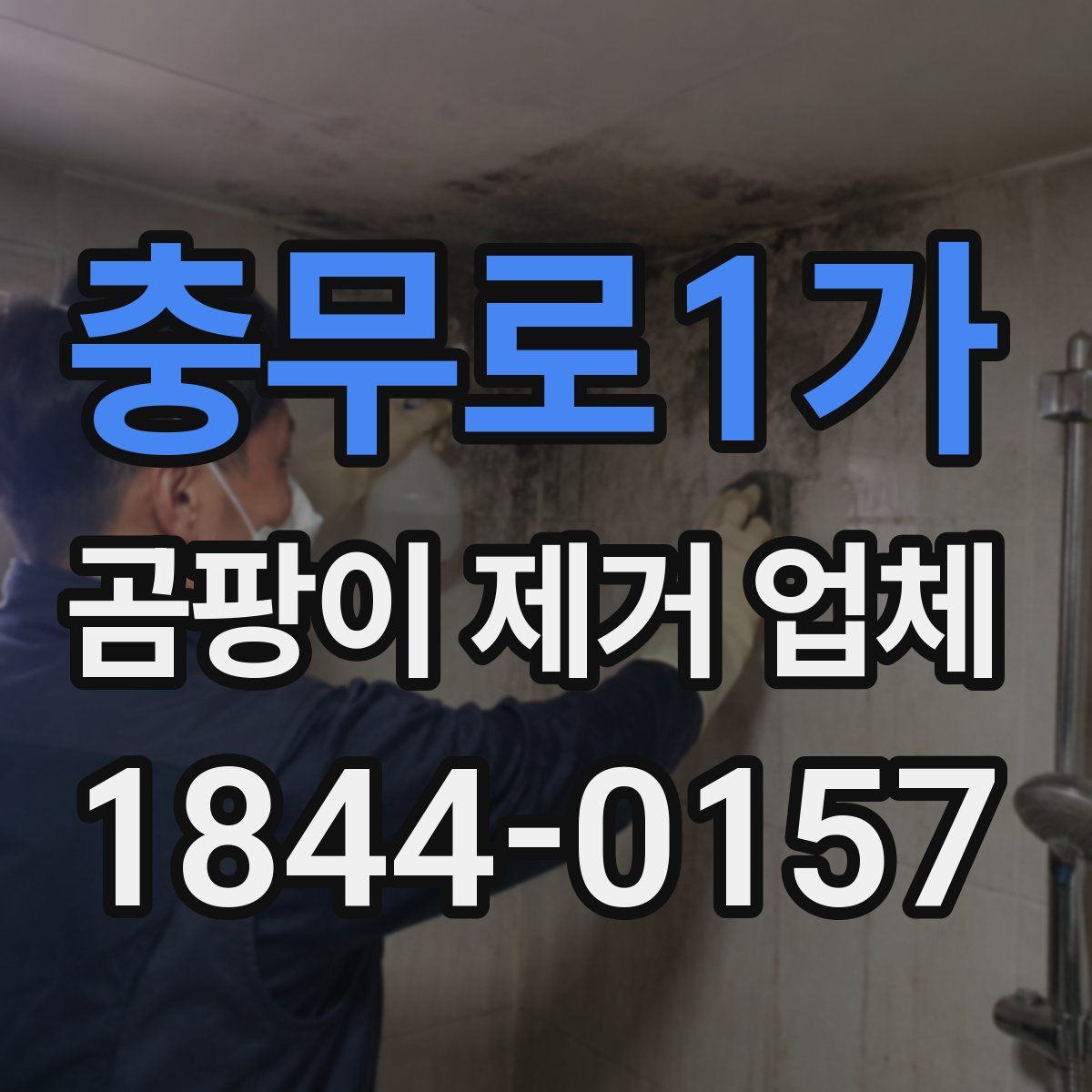 충무로1가 곰팡이 제거 업체