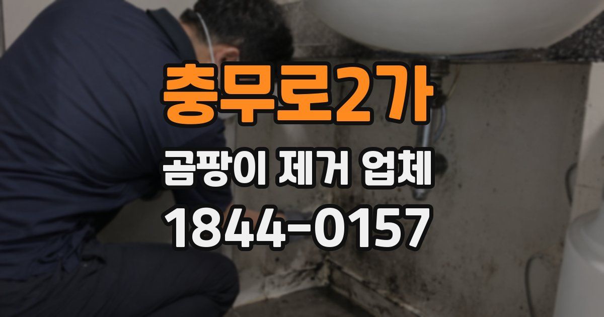충무로2가 곰팡이 제거 업체