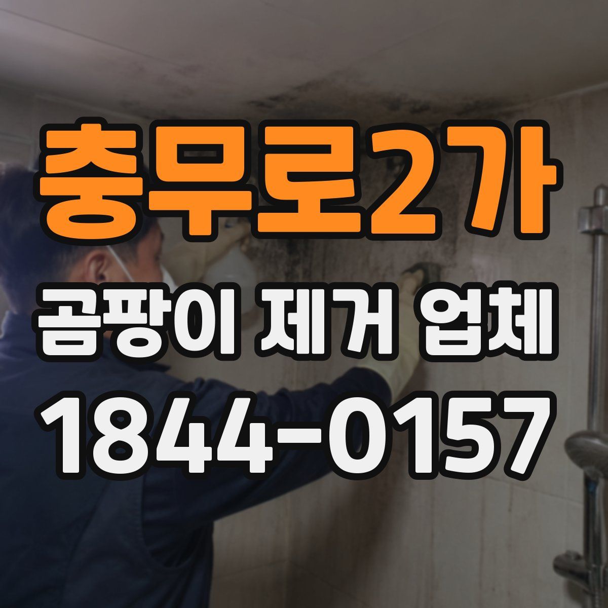 충무로2가 곰팡이 제거 업체
