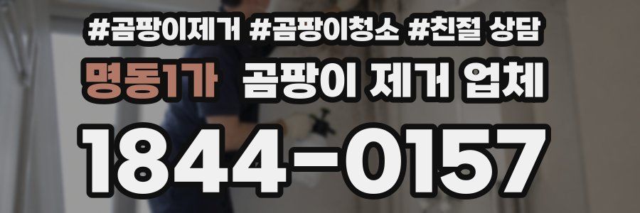 명동1가 곰팡이 제거 업체