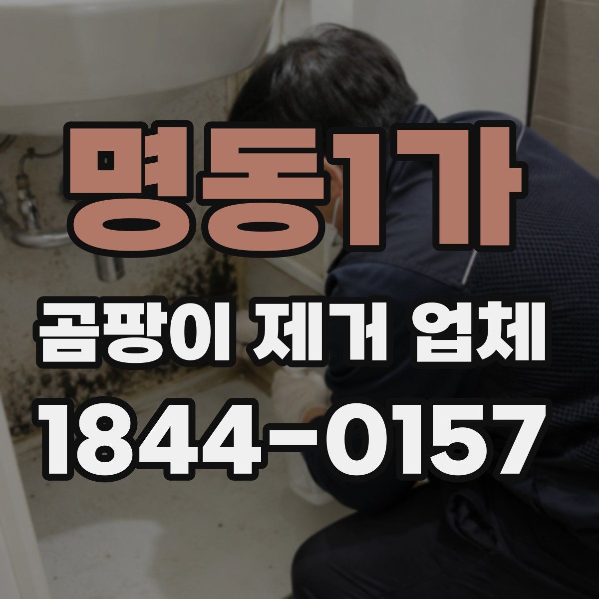 명동1가 곰팡이 제거 업체