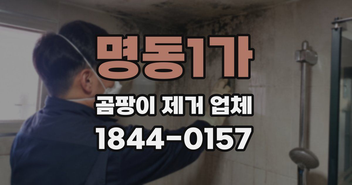 명동1가 곰팡이 제거 업체