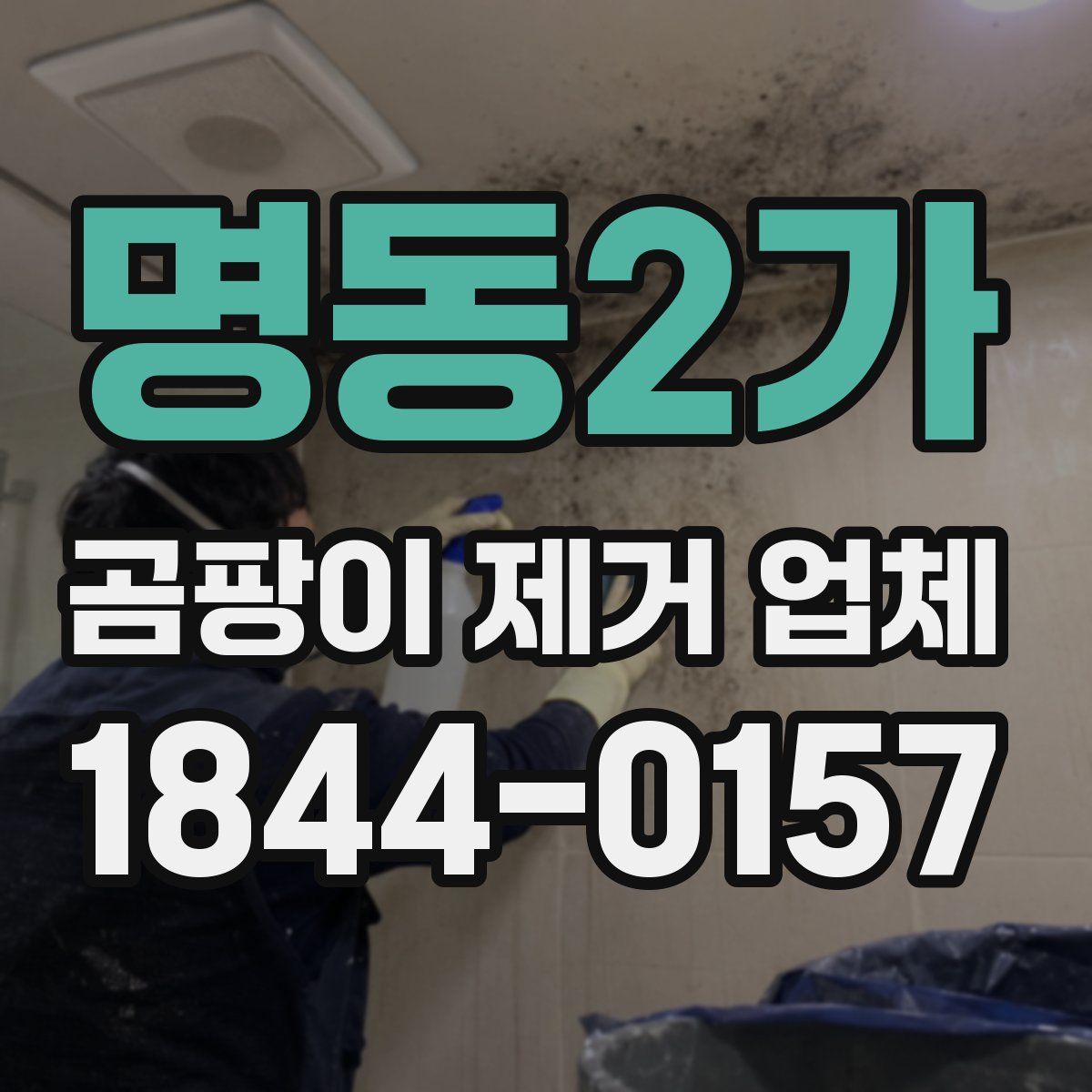 명동2가 곰팡이 제거 업체