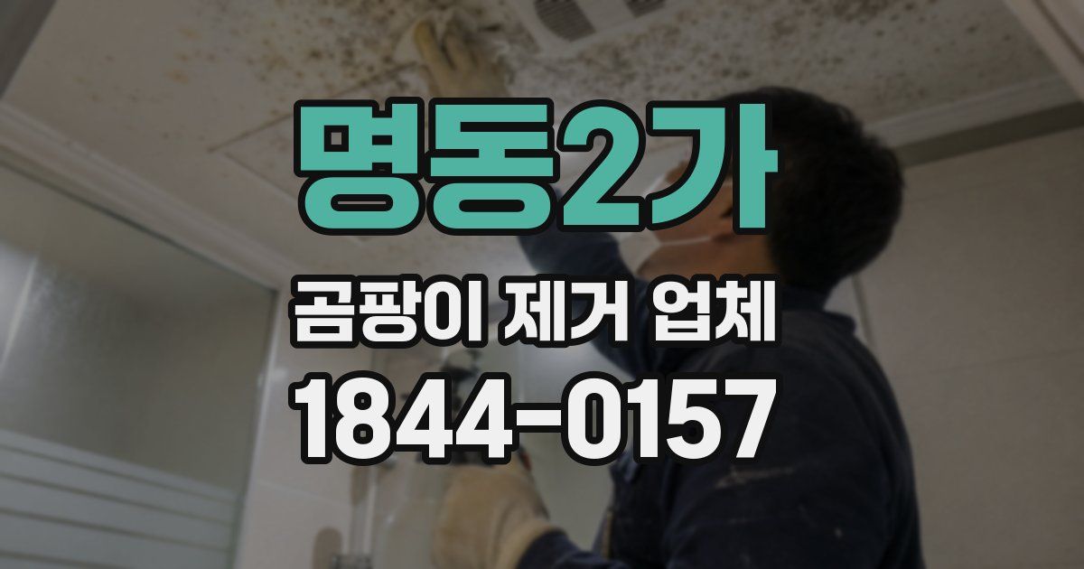 명동2가 곰팡이 제거 업체