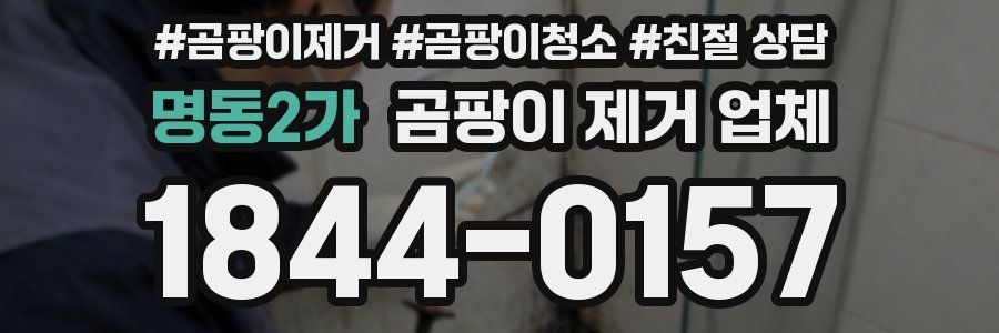 명동2가 곰팡이 제거 업체