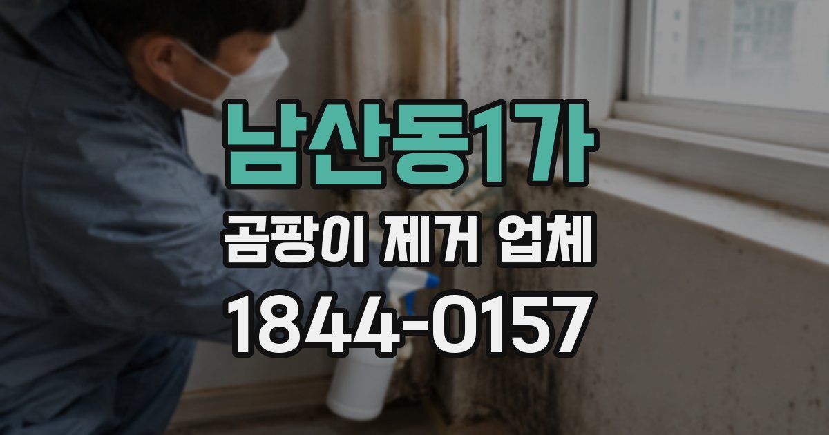 남산동1가 곰팡이 제거 업체