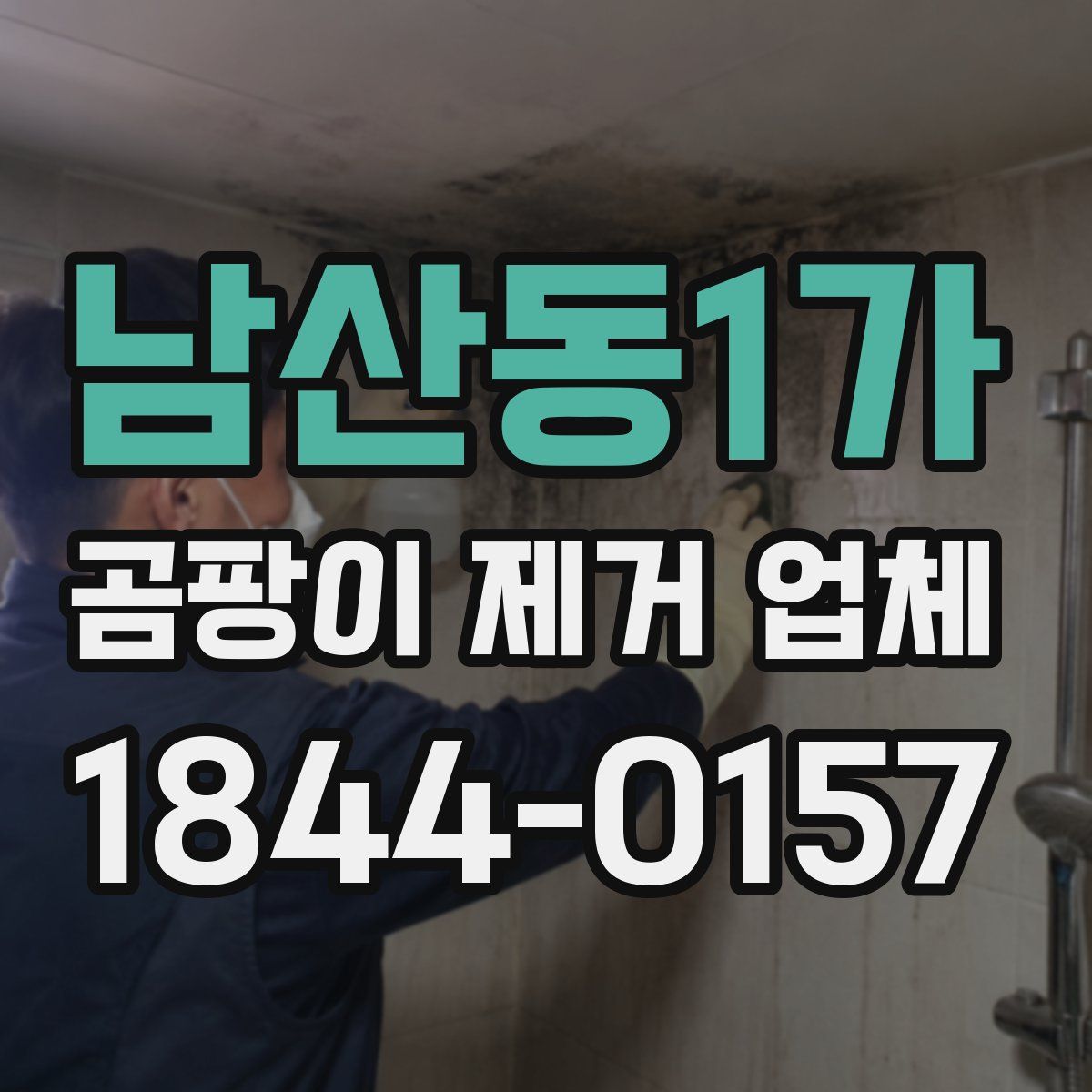 남산동1가 곰팡이 제거 업체