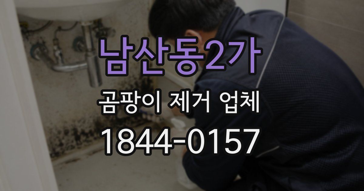 남산동2가 곰팡이 제거 업체