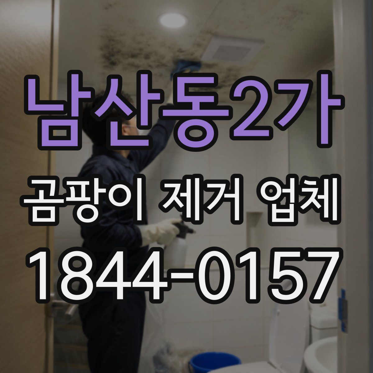 남산동2가 곰팡이 제거 업체