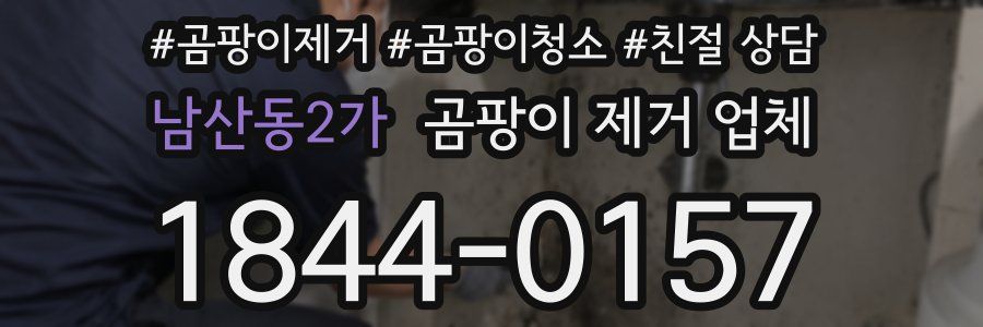 남산동2가 곰팡이 제거 업체