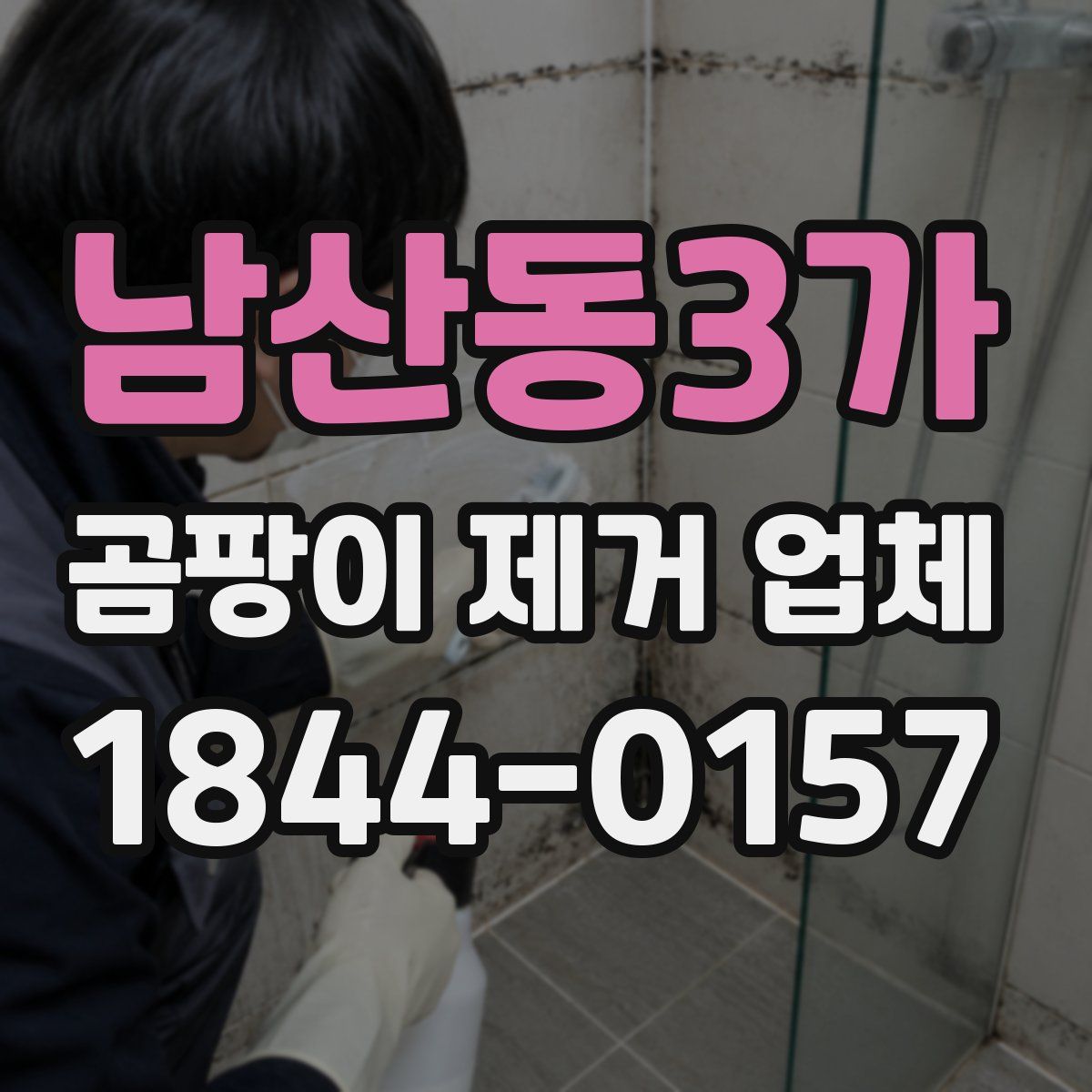 남산동3가 곰팡이 제거 업체